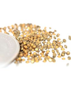 Swarovski 1100 Chaton, Round Rhinestones 08pp Comet Or (Gold) Pointed Back Gold Foiled - 12 Pcs